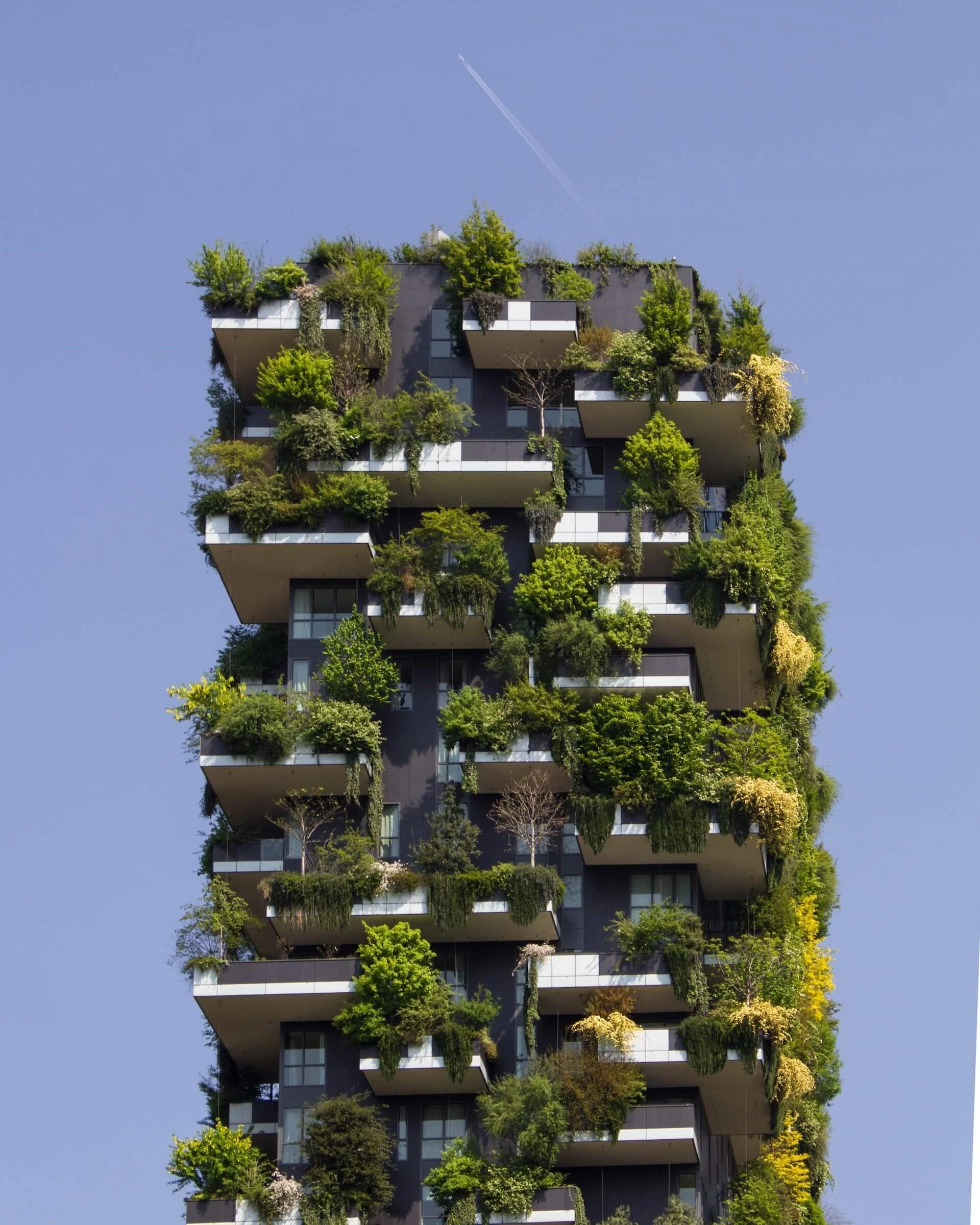 Flerbostadshus med gröna växter på fasaden